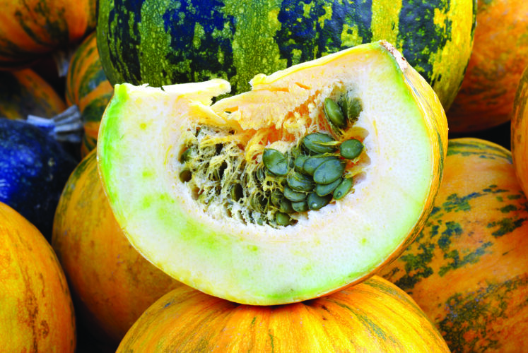 How to Grow Pepitas